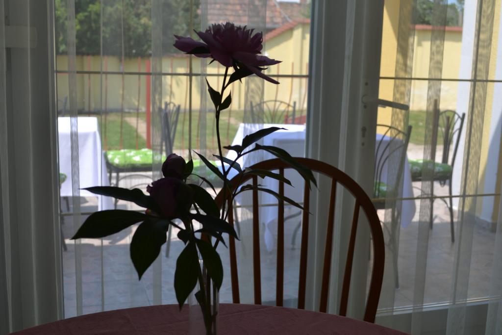 Kiskut Liget Pension Győr Buitenkant foto